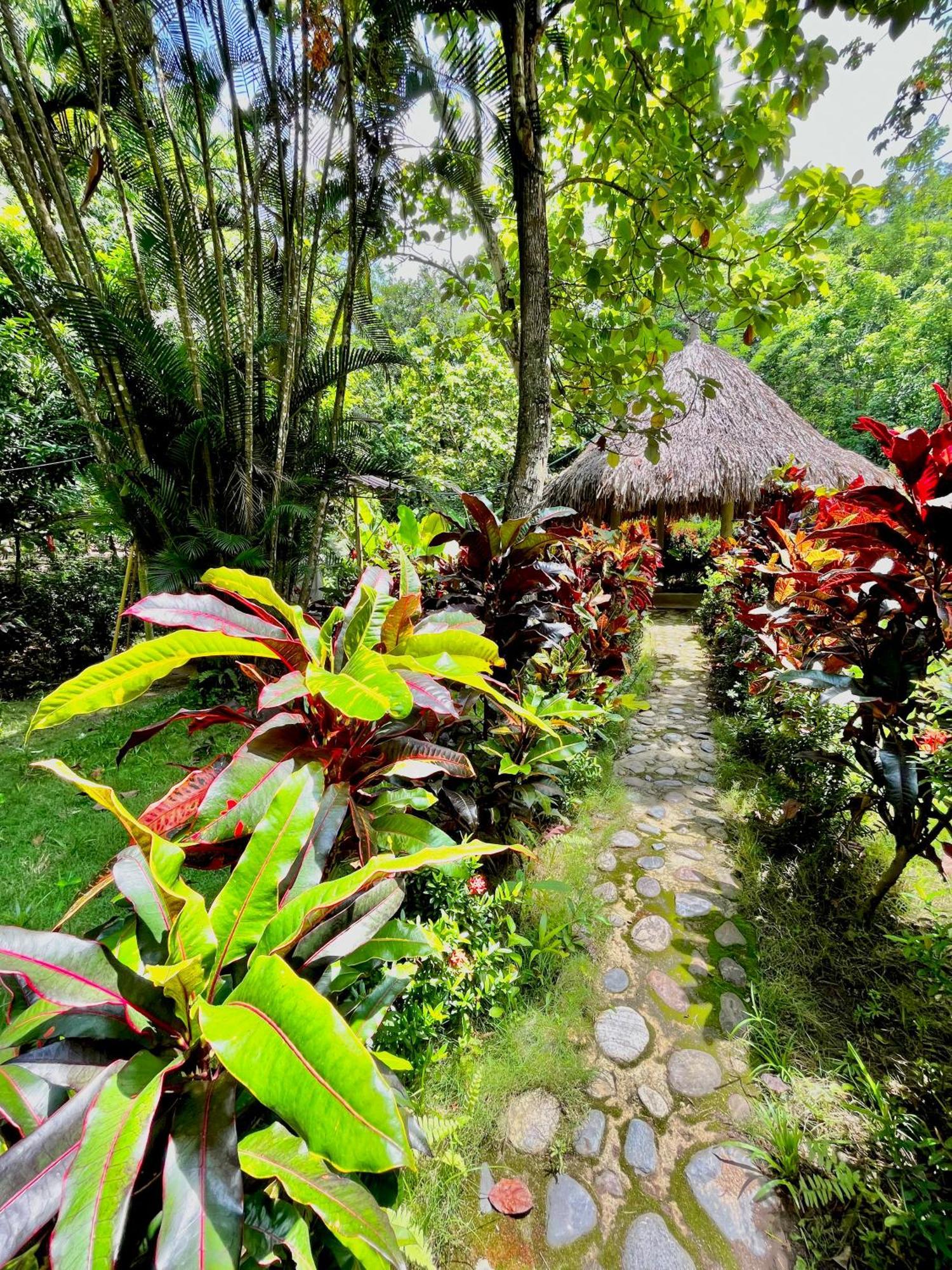 Santuario Tayrona Hostel Calabazo (Magdalena) Exterior foto